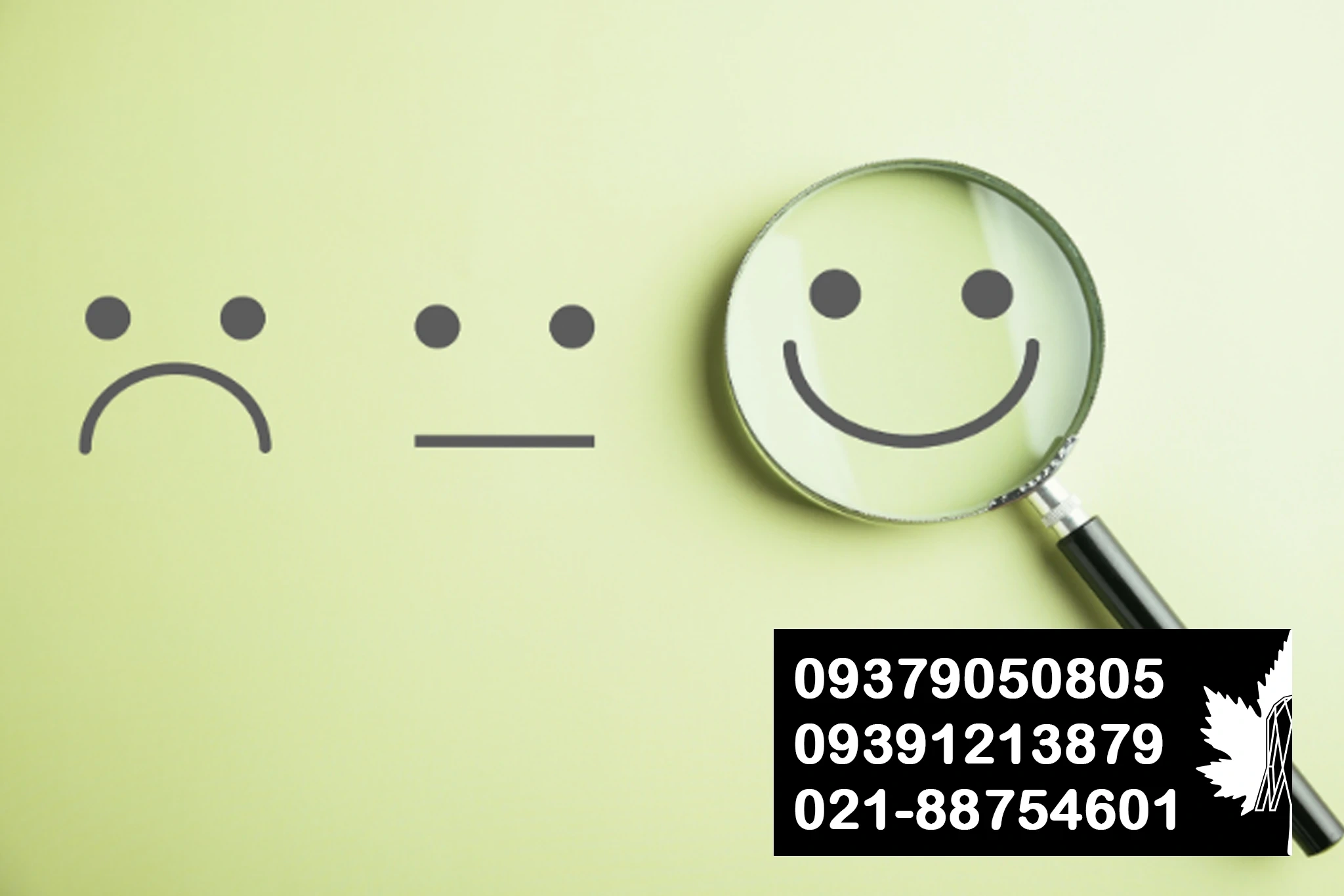اهمیت تجربه کاربری (UX) در طراحی سایت | چنار خیام