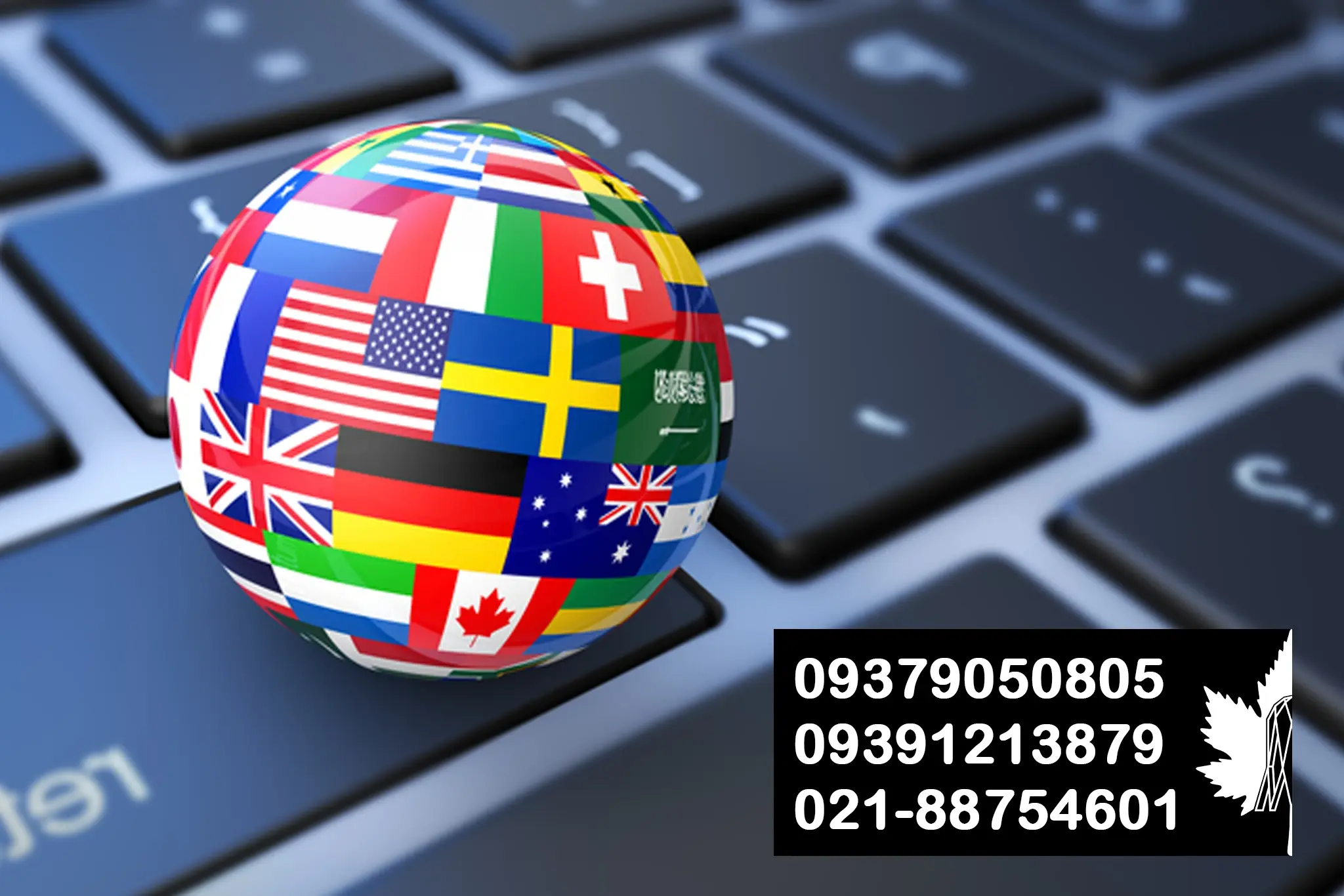 چرا سایت چندزبانه برای شرکت‌های صادراتی حیاتی است؟ | چنار خیام