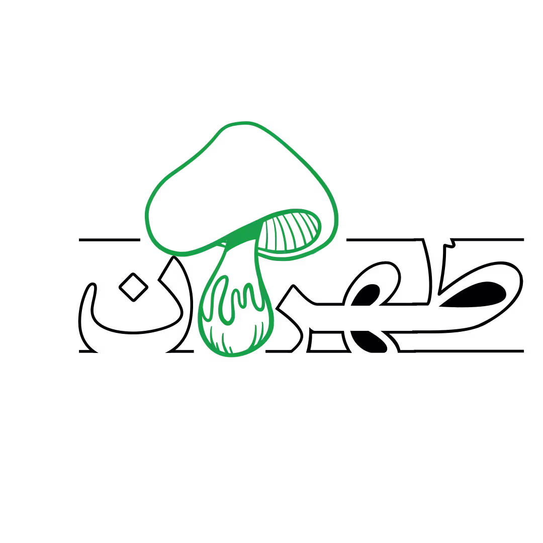 شرکت برنامه نویسی چنار خیام